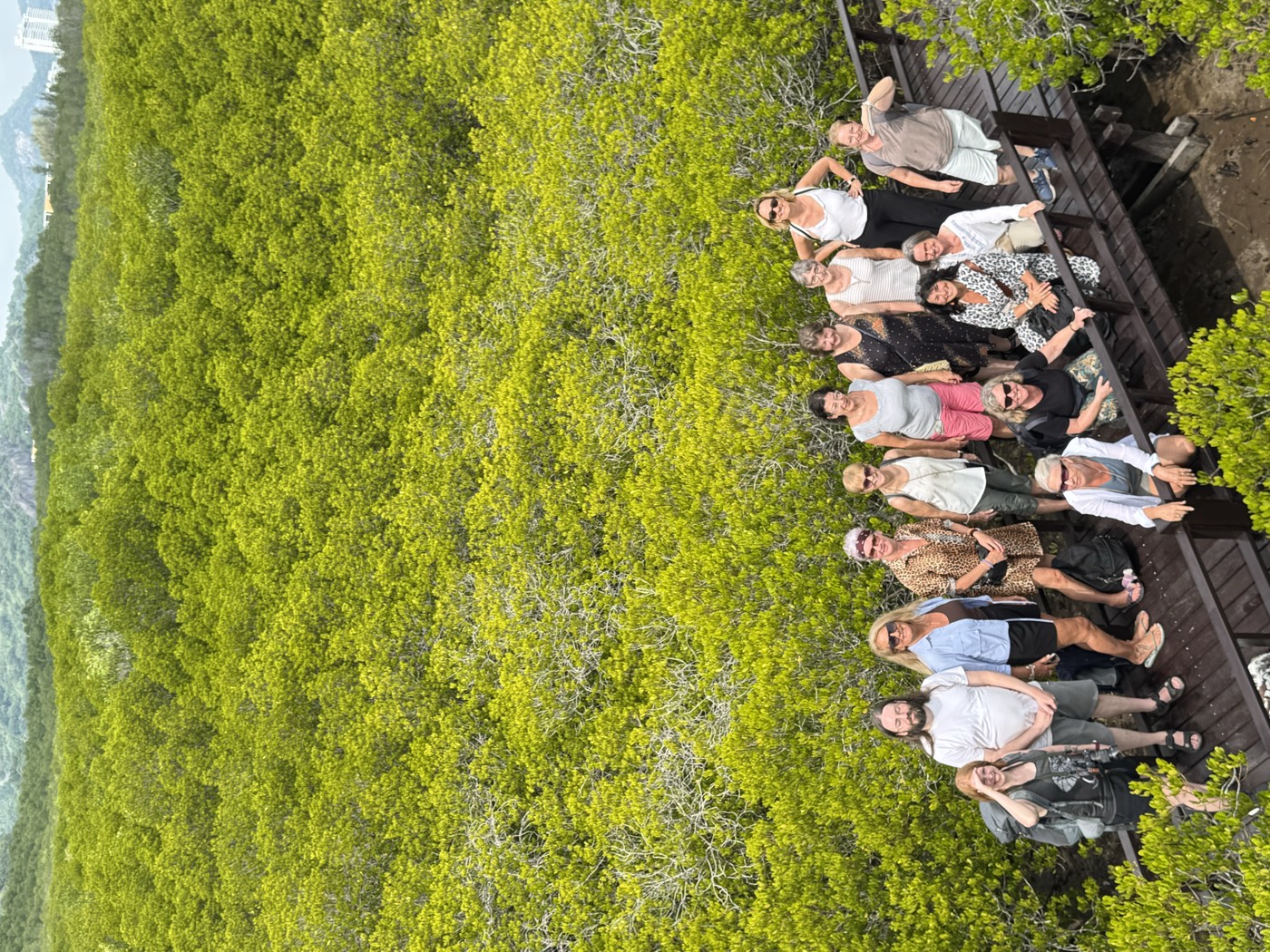 Die Gruppe auf einem Holzsteg im Mangrovenwald